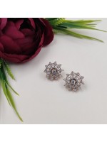 Elegant Glamour Roundy Shape Earring 